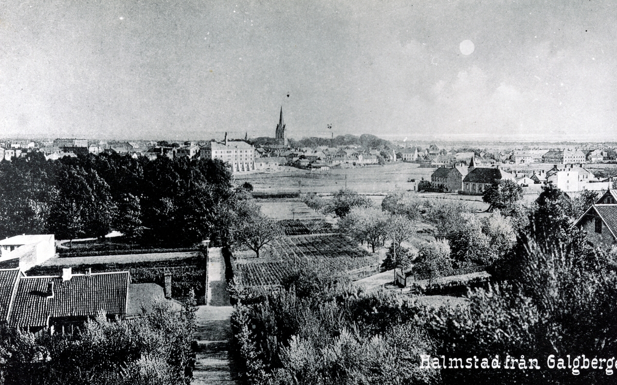 Utsikt från Galgberget vid sekelskiftet. Appeltofftska Bryggeriets stora byggnad (uppförd 1898) finns med. Gåva av KB Bjering 1989.