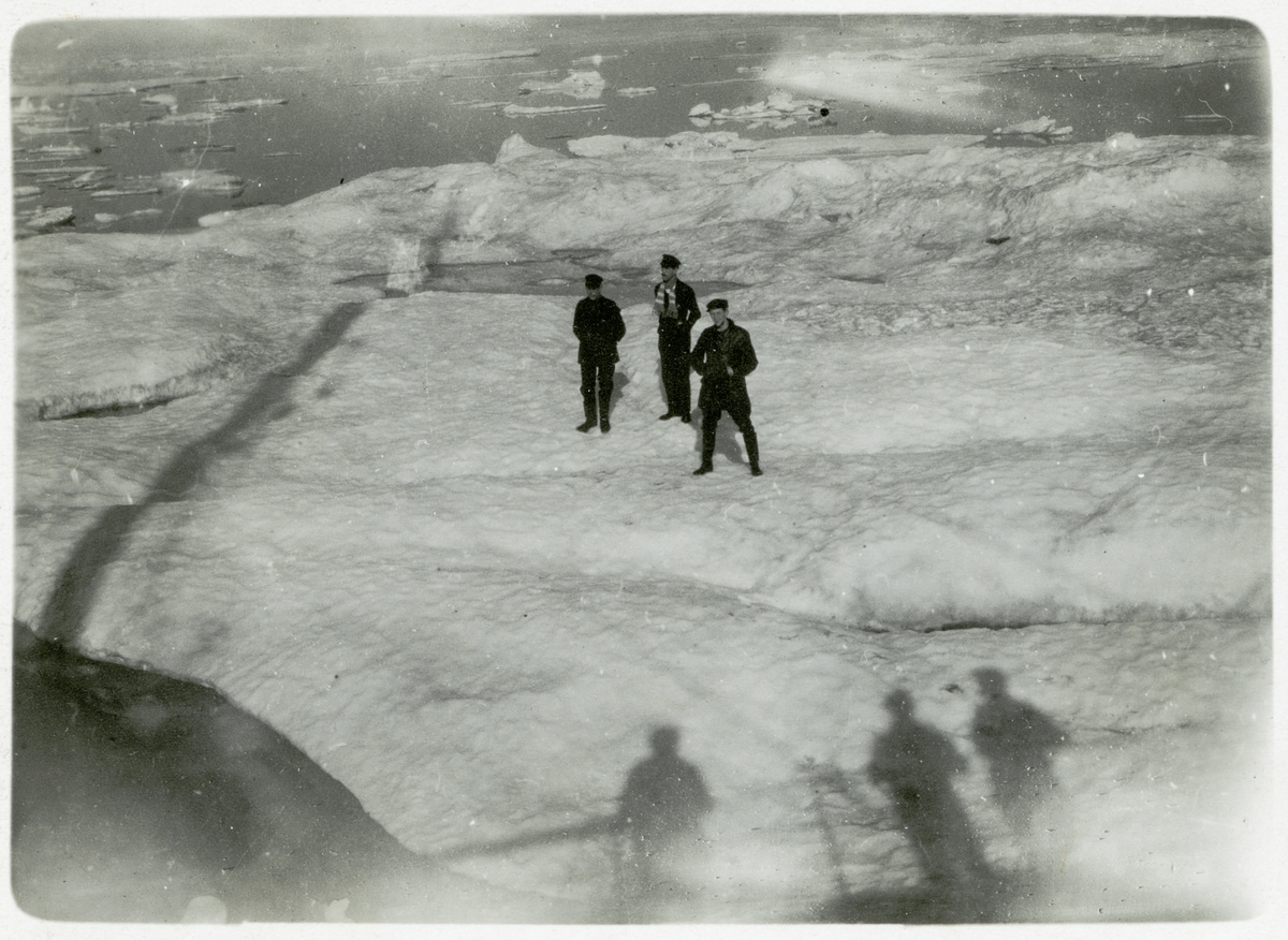 Besättningsmedlemmar som står på ett isflak i Karahavet framför S.S. Halvar. 1919.