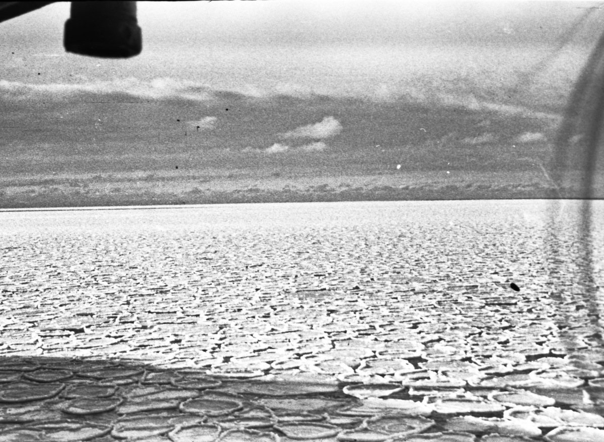 Store mengder isflak på en rolig sjø. Tette skybanker i bakgrunnen. Suderøy på fangstfeltet.
