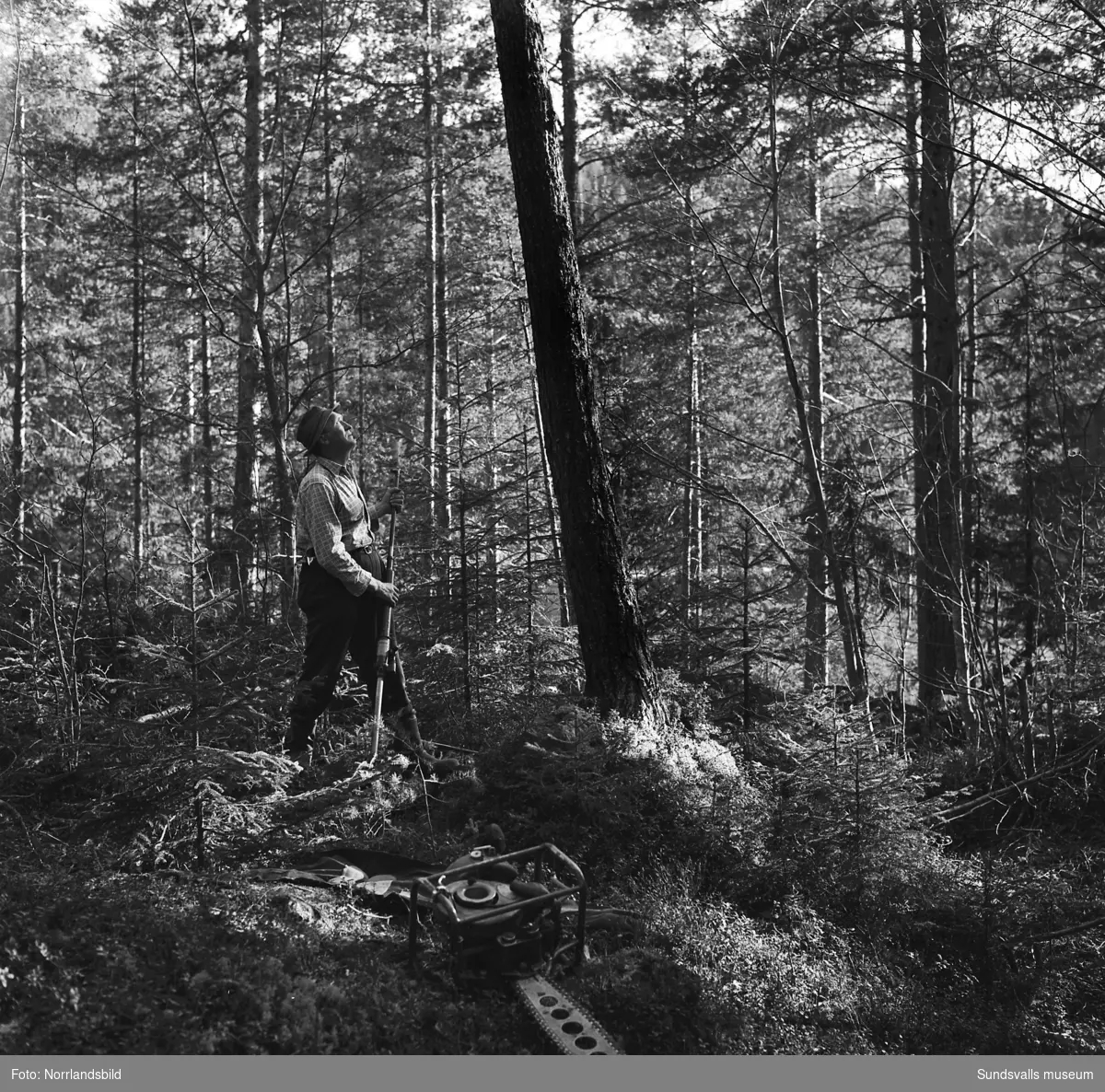 Ragnar Elfström, Viforsen, demonstrerar ett hjälpmedel vid trädfällning.