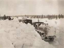 Vinteren 1930-1931 i Hedmark