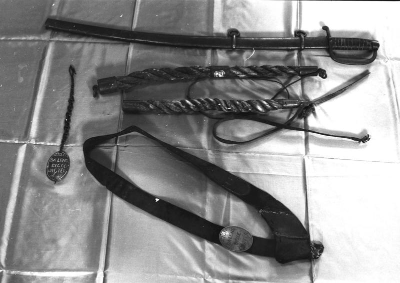Ståtarkongens våpen: en sabel, to sveper, belte med skilt og skilt med kjede.