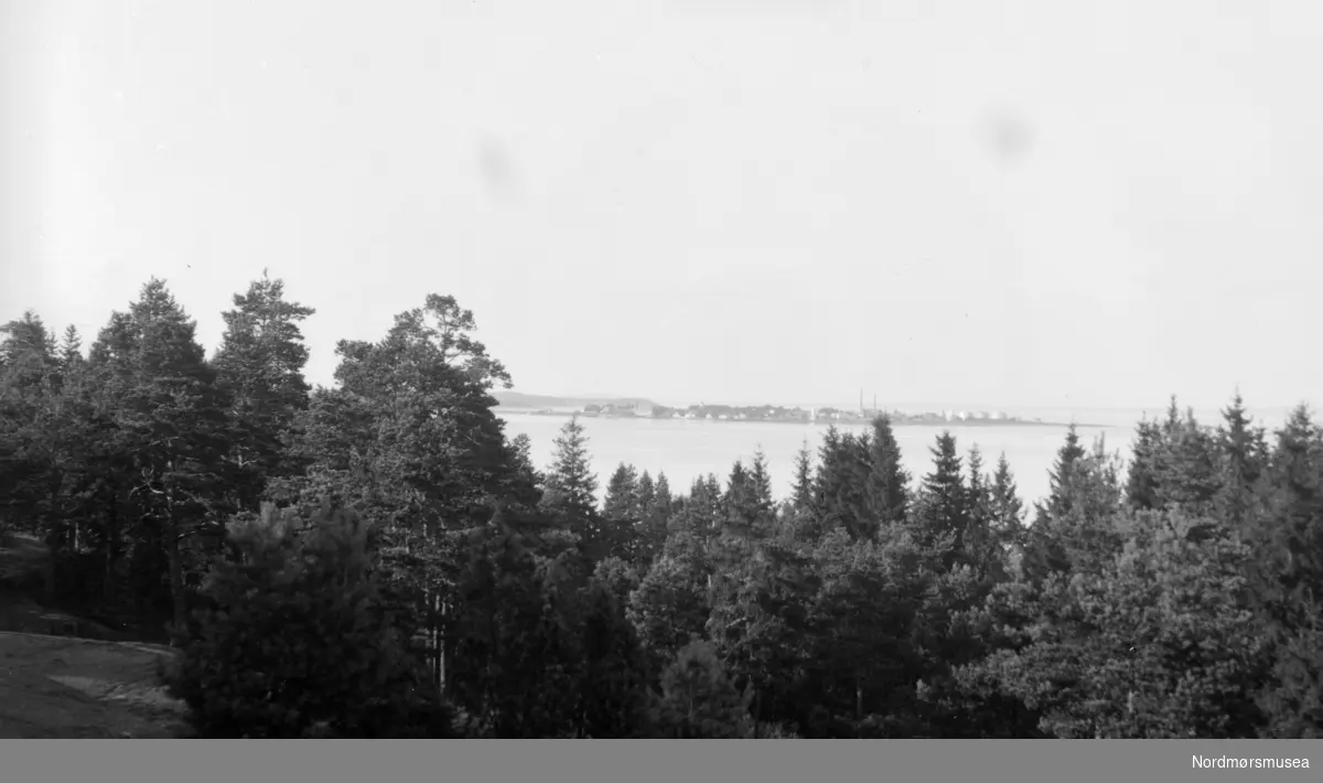 Landskapsfoto. Foto fra en samling av Ida Staurseth Mittet. Fra Nordmøre museums fotosamlinger.