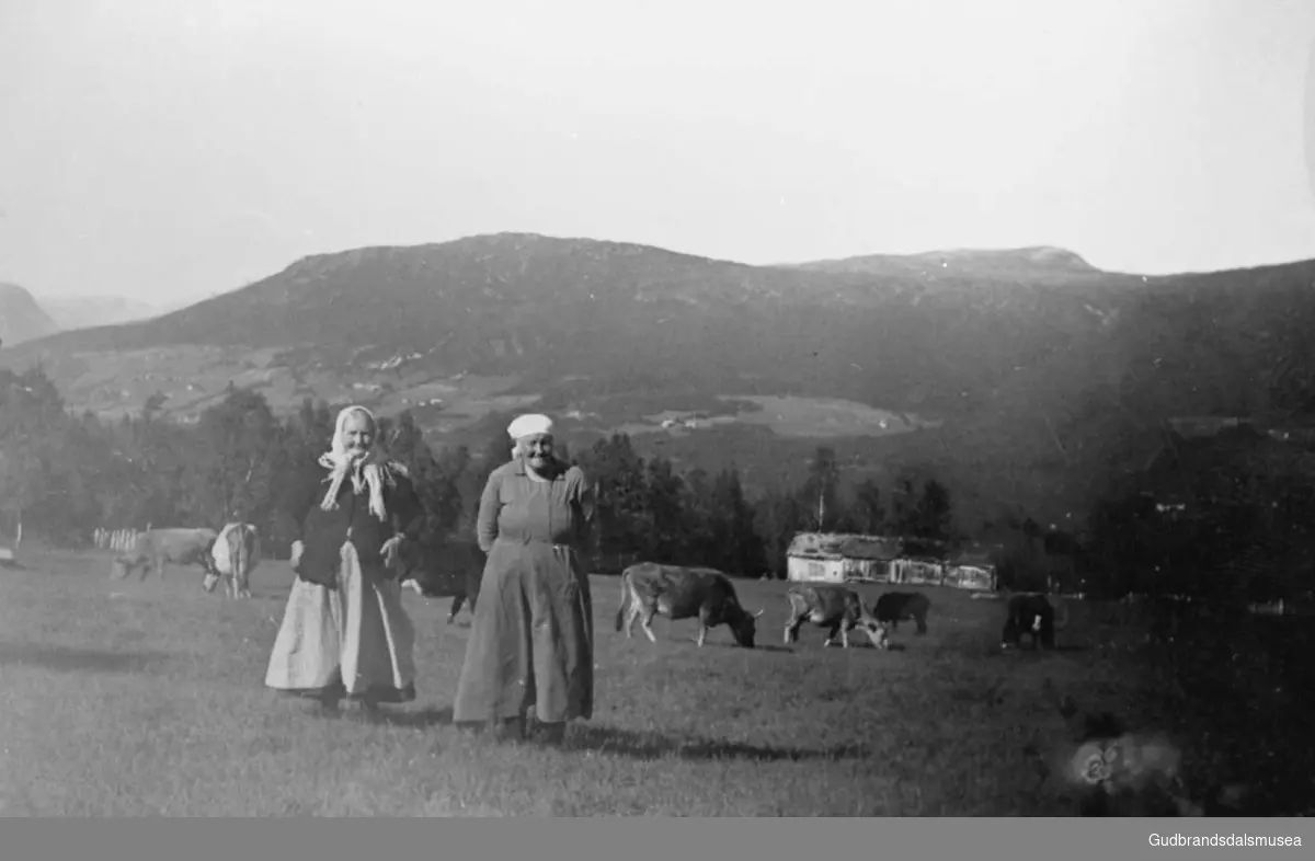 To eldre kvinner ute på et jorde sammen med kyrne en fin sommerdag, hus på "andre siden av dalen" i bakgrunnen.