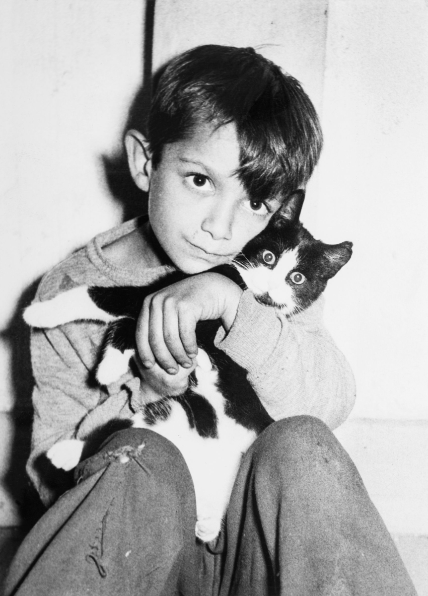 En tioårig romsk pojke kramar hårt kattungen Missan medan han tittar in i fotografens kamera. Bilden är tagen i Vislanda 1955.