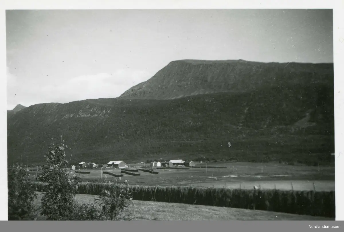 Saursfjord ca. 1950. Bildet tatt fra gården Tjukkskogen.