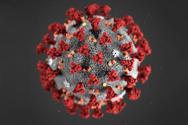 koronavirus.png. Foto/Photo