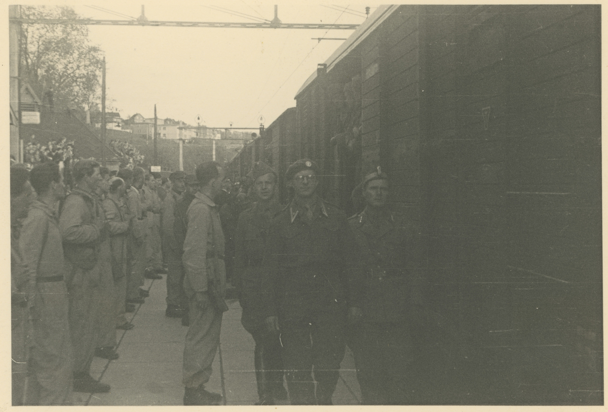 Tre  bilder fra mai 1945

De norske polititroppene fra Sverige (utdannet der) passerer Moss en av frigjøringsdagene.