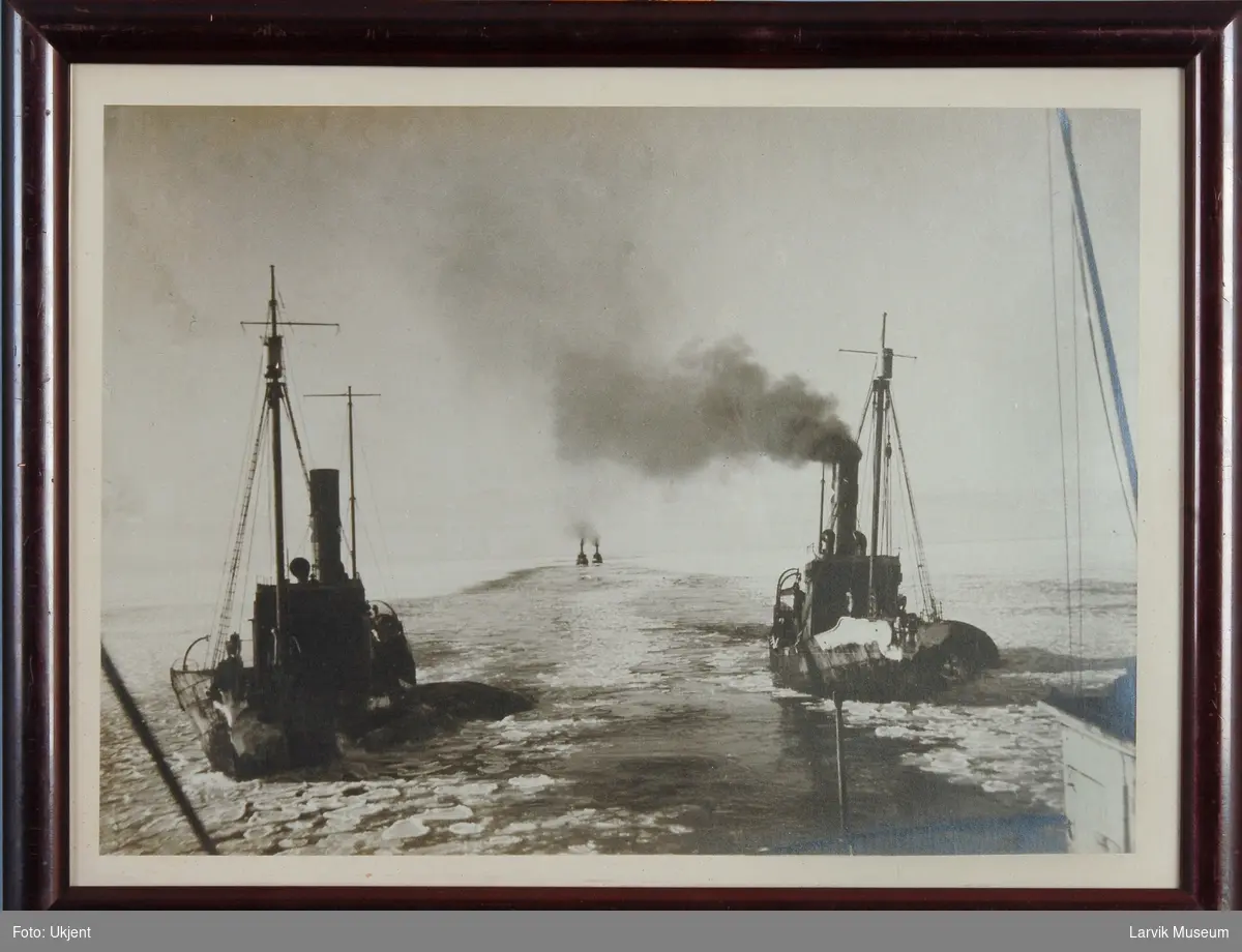 Hvalbåter som går ut fra Rosshavet, mars 1927