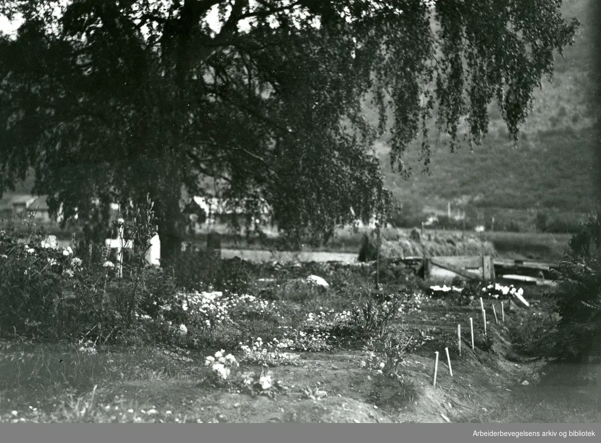 Tafjord-ulykken var en naturkatastrofe som fant sted natt til 7. april 1934 i Tafjord på Sunnmøre. Et større fjellparti raste ut i fjorden og flodbølgen fra raset raserte store områder og drepte 41 mennesker. "Blomster paa fellesgraven under hengebjerken paa Nordal Kirkegaard".