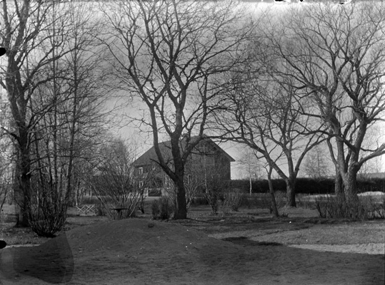 Bostadshus i trädgård, ca 1910.