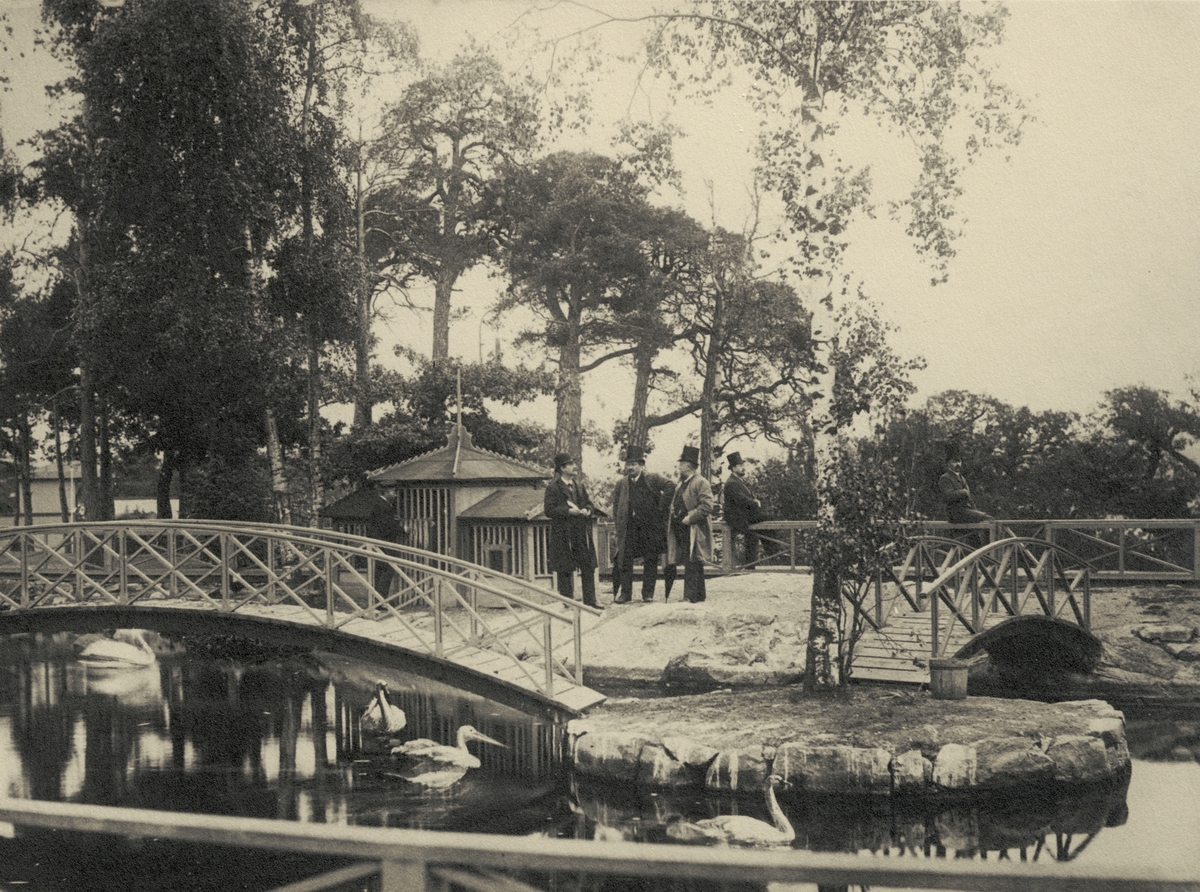 Skansen. Doktor Jonas Rudberg, Tandläkare Skogsborg, Direktör Nyrén, Kapellmästare Chr. Crause samt Red. Kay G. Englund församlade vid Svandammen i övre Tivoli 1890. 