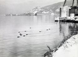 Sørenga i Oslo havn på 1960-tallet.