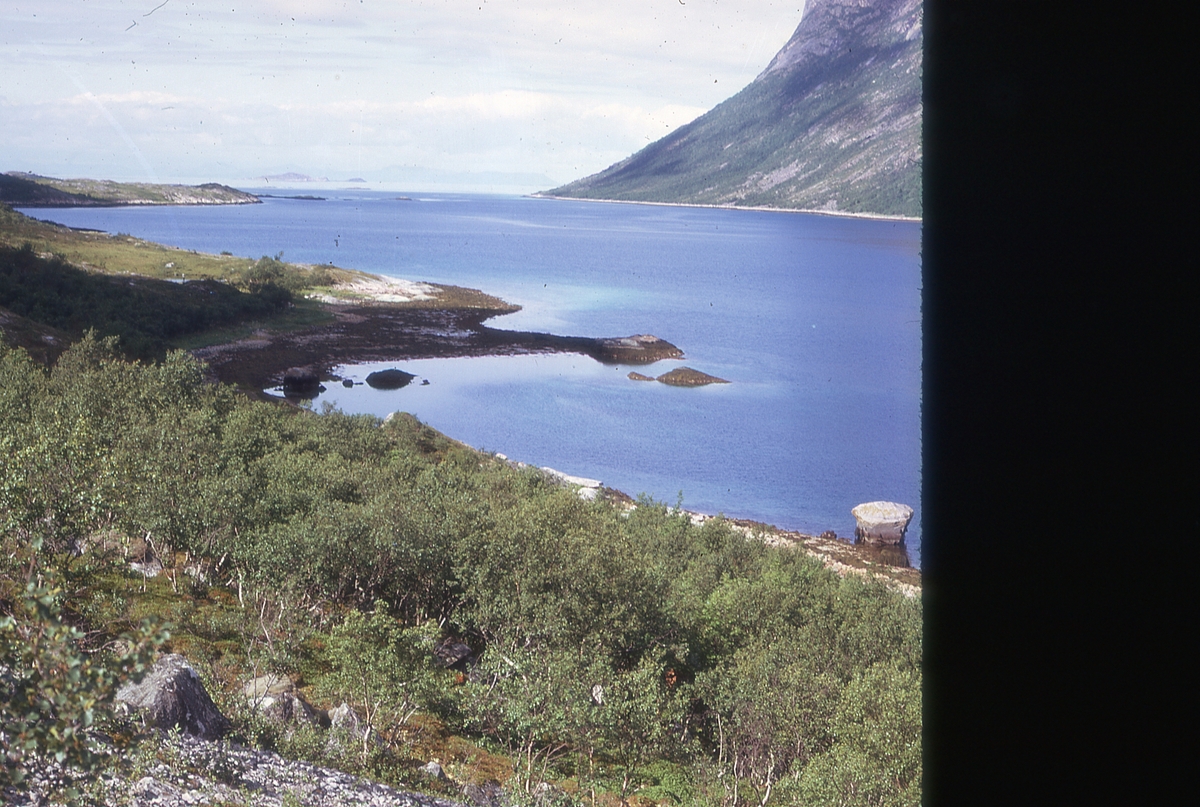 Motiv fra indre Selfjord.
