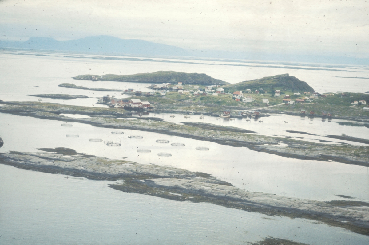 Flyfoto over Lovund. Oppdrettsanlegget tilhørte Steinar Olaisen og Hans Petter Meland. To av oppdrettspionerene på Helgeland. Bildet er tatt i forbindelse med Lovund seminaret i 1972.