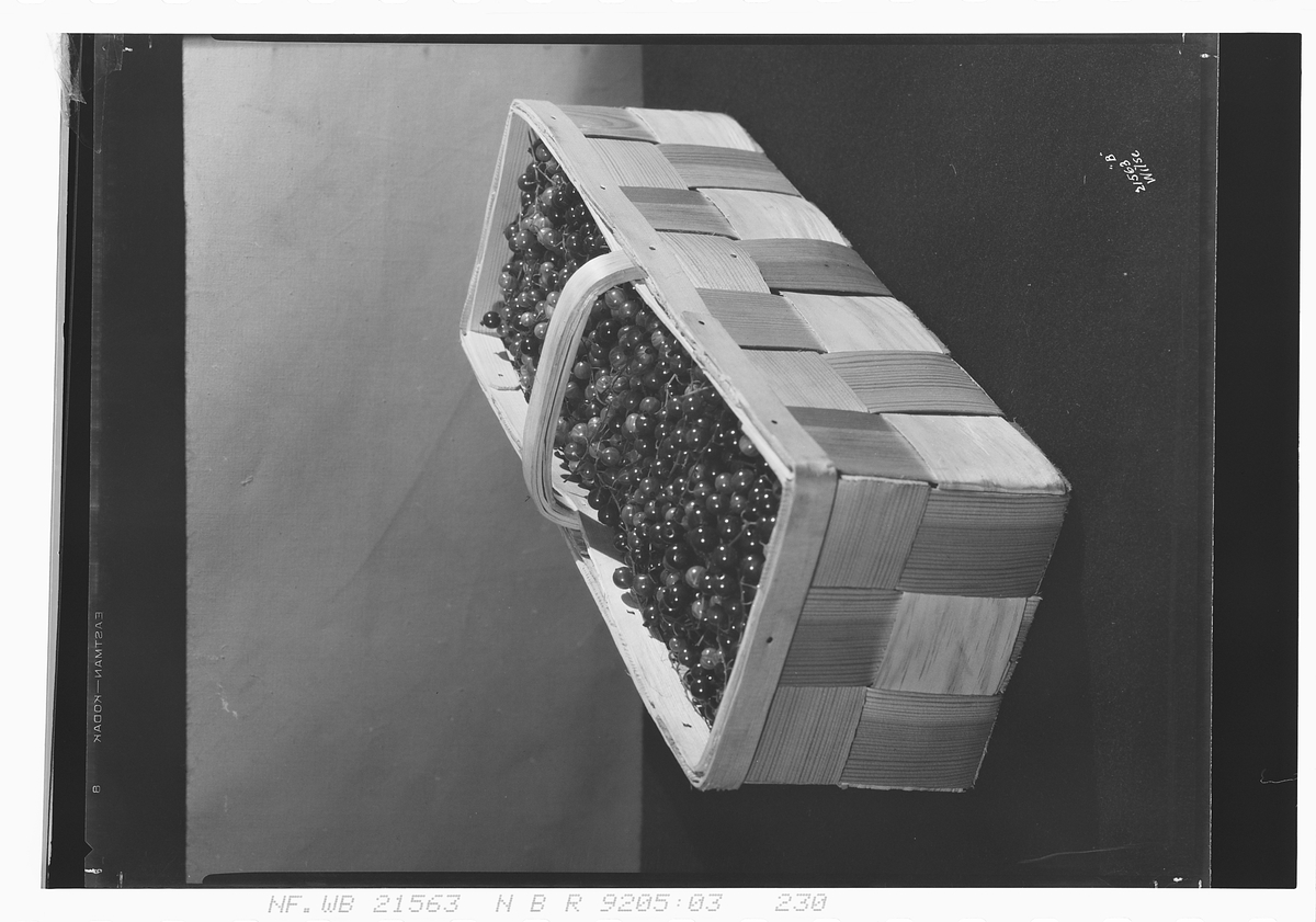 Kurv med bær. Fotografert 1928.