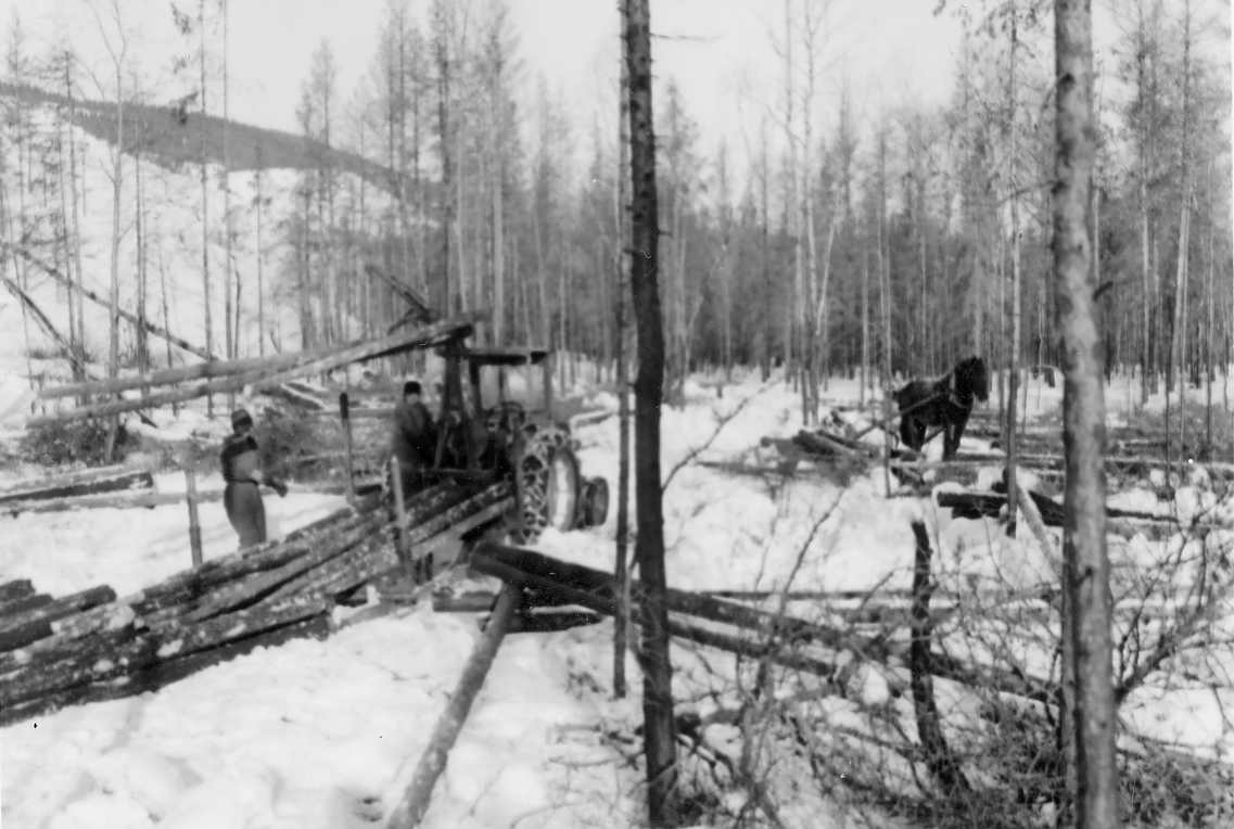 Moderne og gammel tømmerkjøring. Tømmerhogst etter skogbrann ved jutulhogget 1965. 