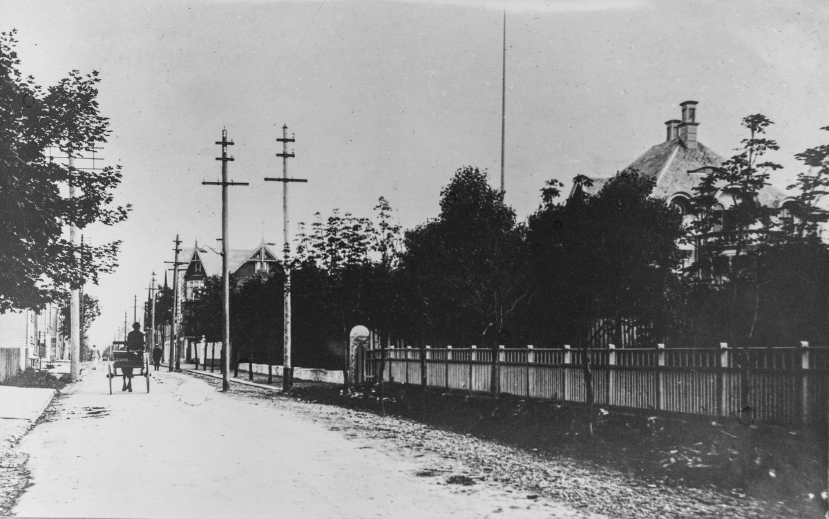 Haraldsgata sett mot nord, ca. 1910.