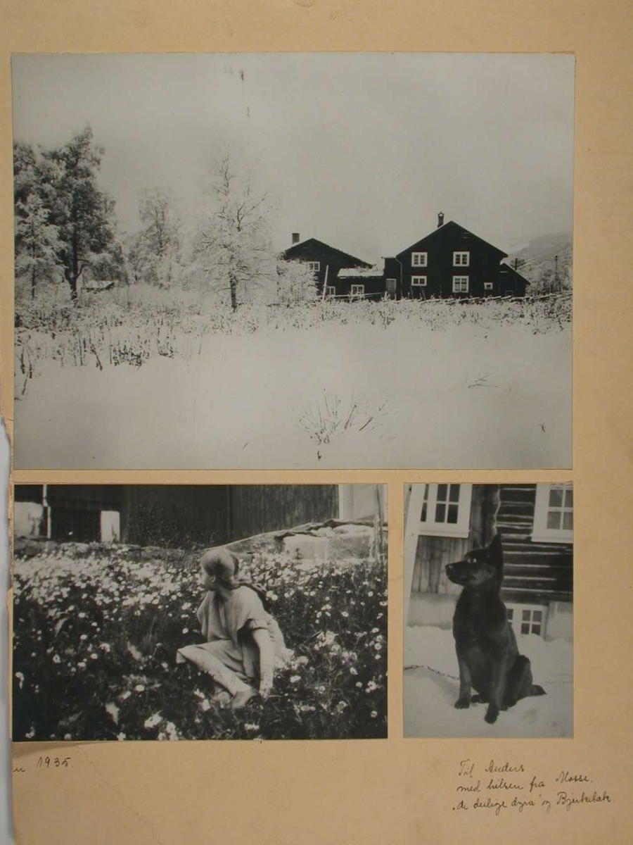 To bilder av Bjerkebæk, et sommerbilde og et vinterbilde. To bilder av Maren Charlotte i haven. To bilder av hunder.