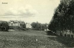 Aulestad, allé, postkort