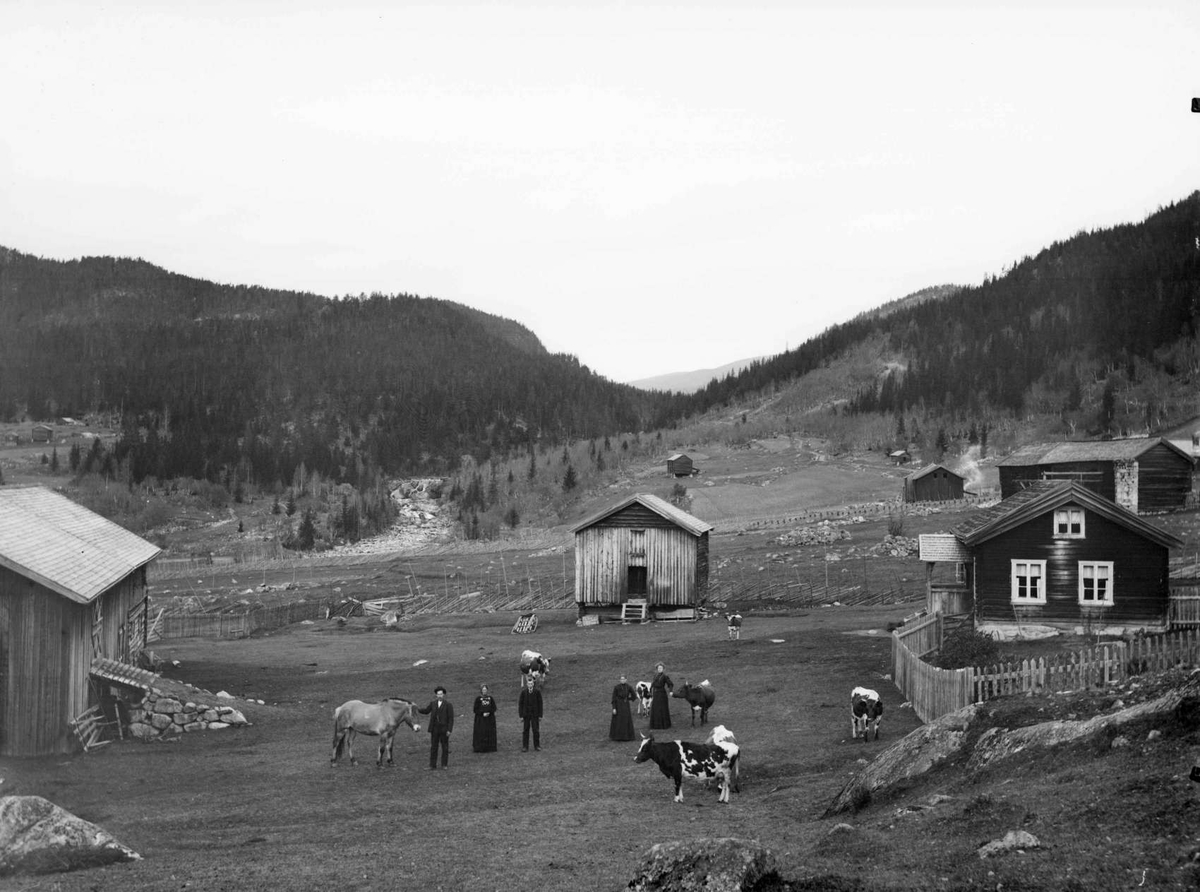Kristofer Lie's gaard  Hallingdal  15.10.1906. Bolighus, uthus, kyr, hest ,personer 