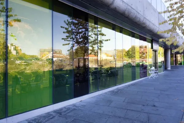 Look back in Puzzlement [Veggfasade]