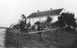 Rakerive med hesten Trygg. Jørgen Ruud og lærer Johansen fra