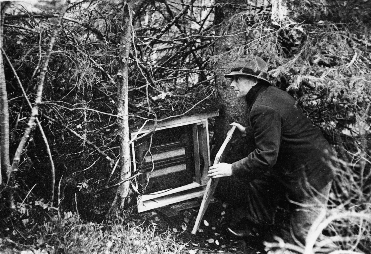 Torbjørn Røen. Tatt før høsten 1944. Radioen var skjult i skogen i nærheten Rikardsbråten i Gullverket. På bilde 2 ser vi Røen til høyre og Peder Endeve, Voss.