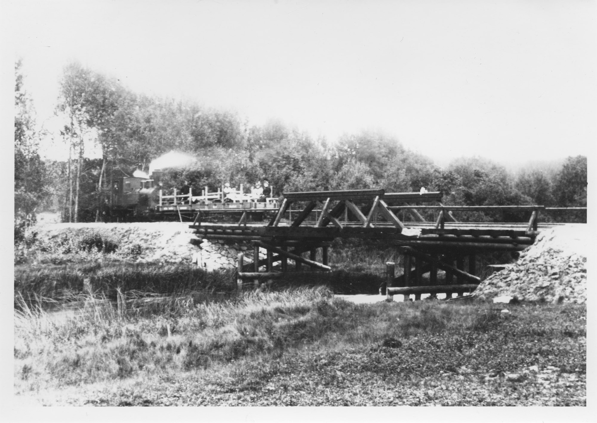 Inspeksjonstog på vei inn på Eidsverkets sidespor på Bjørkelangen sommeren 1896. En av Eidsverkets privatvogner er påmontert karmer og benker for passasjertransport.