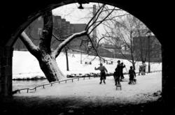 Barn på skøyter og med kjelke under Ankerbrua,.januar 1950