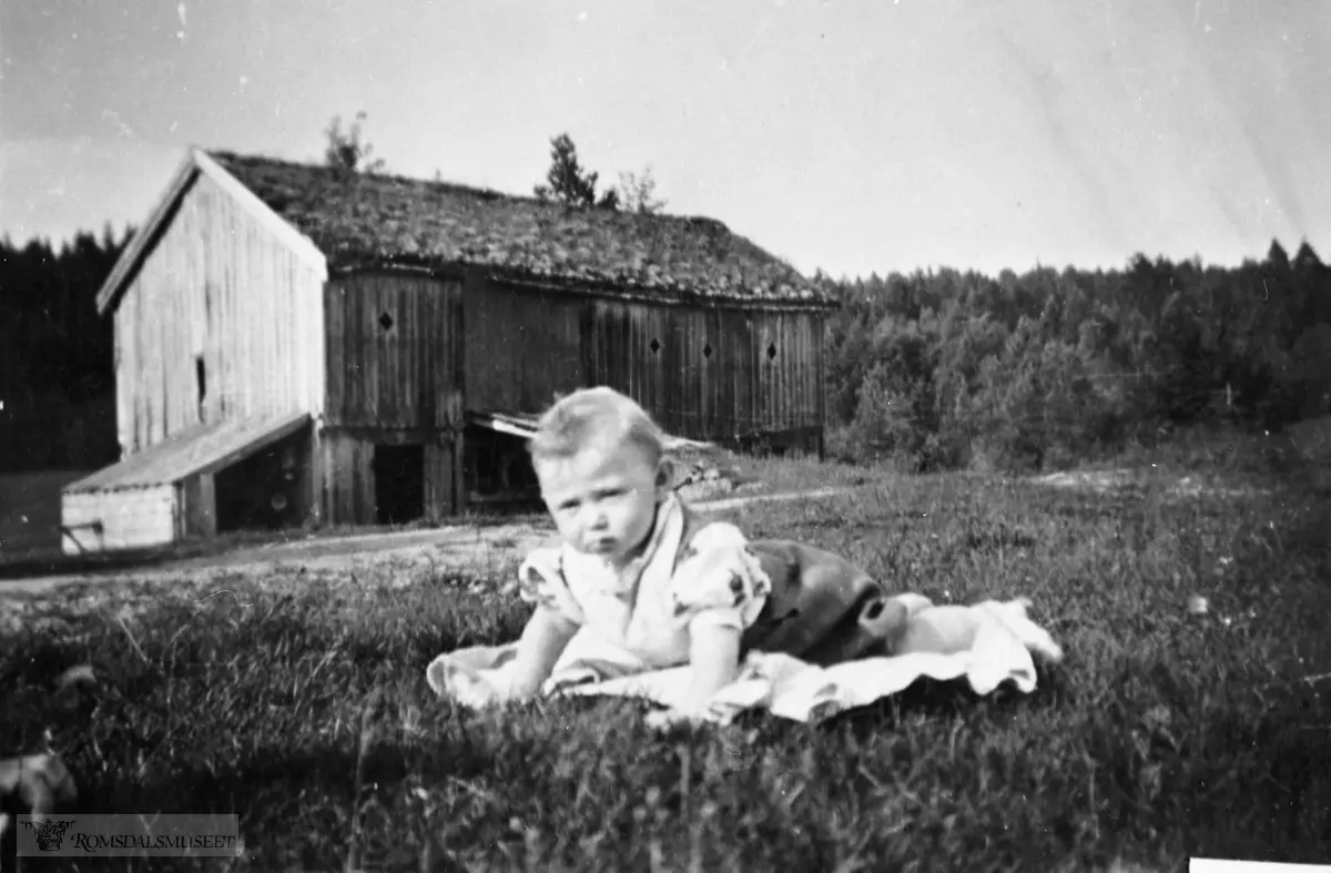 I bakgrunnen ser vi kårløa som no er borte (revet) I forgrunnen er gårdens nuverende eier Torstein Gussiås, som her er 8 mnd. gammel.