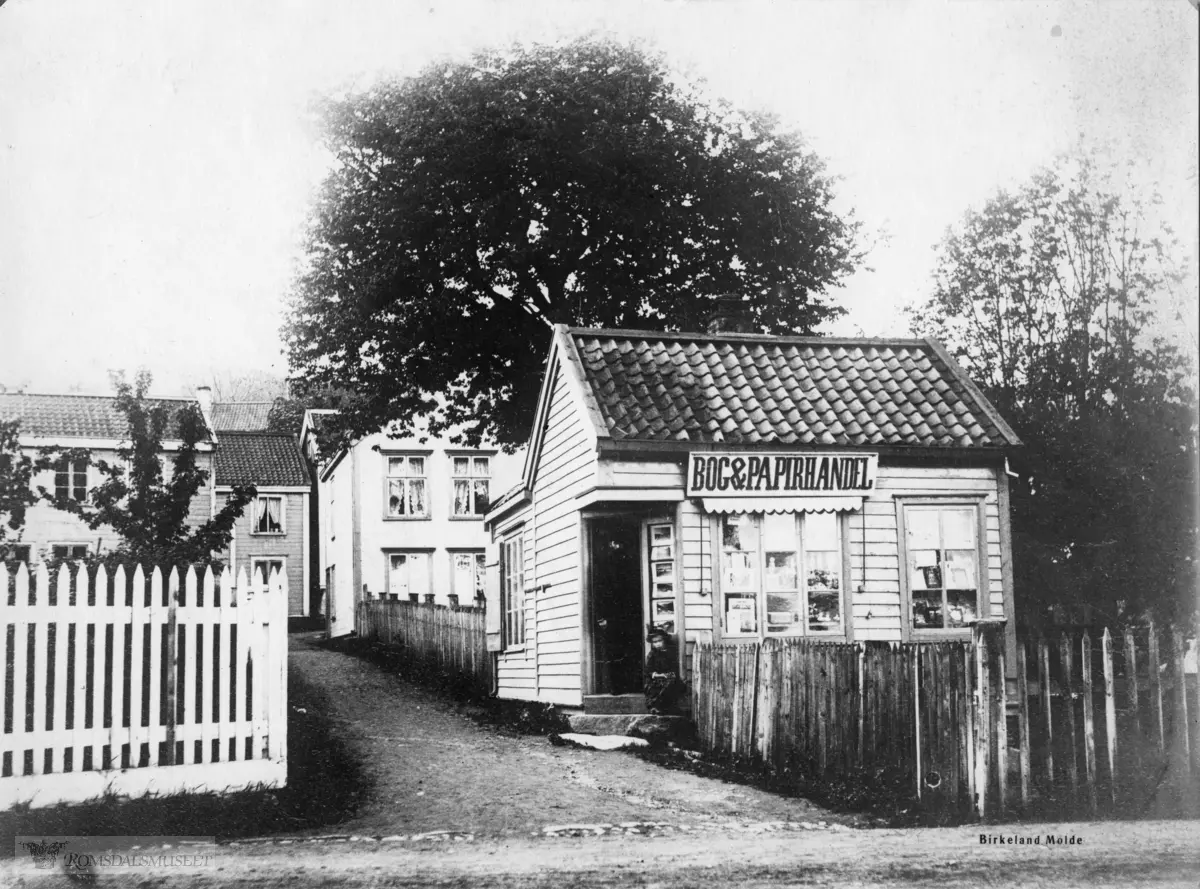 H.George Dahls bokhandel fra 1881. Stokkelandgangen..Skolegården til venstre. Morelltreet midt på bildet var påstått skandinavias største, og at det ett år bar 3 tønner bær.