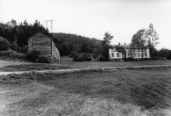 Nr.21. .(Bilder brukt i "Gards- og ættesoge for Nesset").