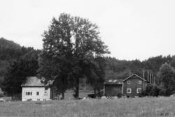 .(Bilder brukt i "Gards- og ættesoge for Nesset").