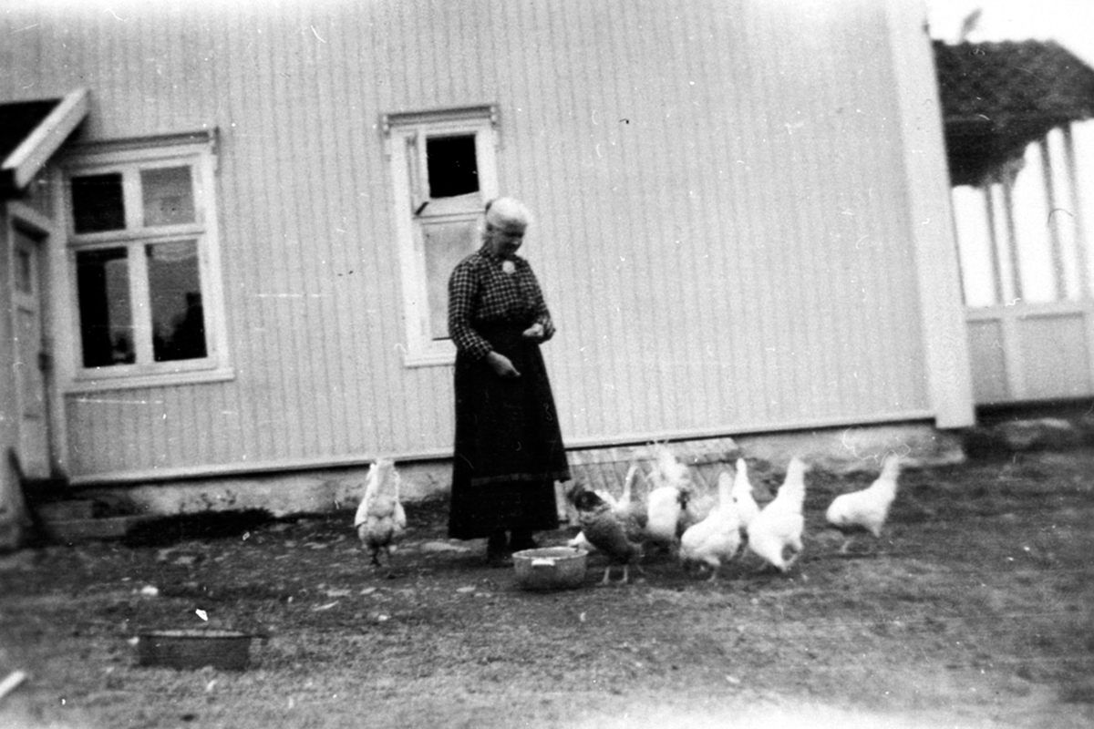 Berthe Kjerringsveen mater høner i Børketajet. Her var det posthus til 1918. Veldre, Ringsaker.