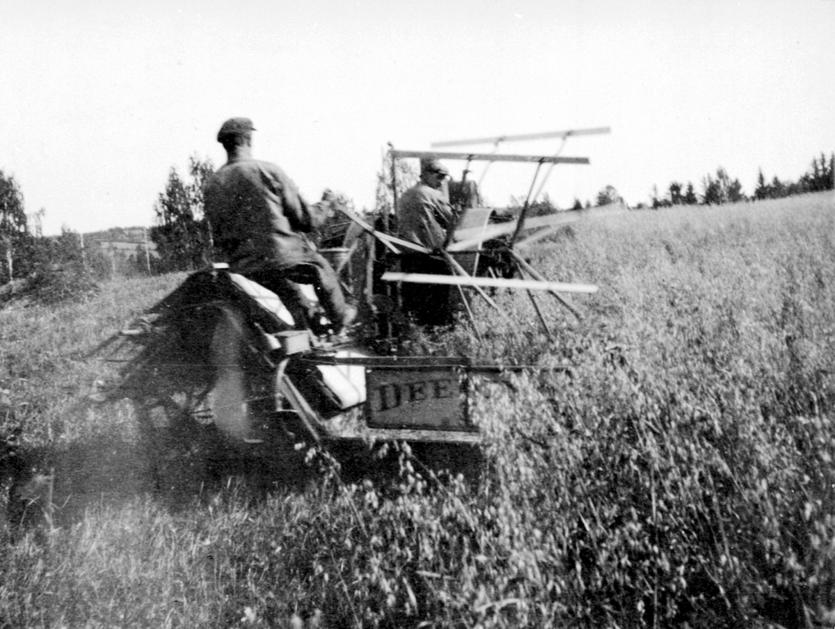 Skuronn på Samsal gård, Ringsaker. Deering selvbinder trukket av Fordson traktor (eller Munktells 20-24).