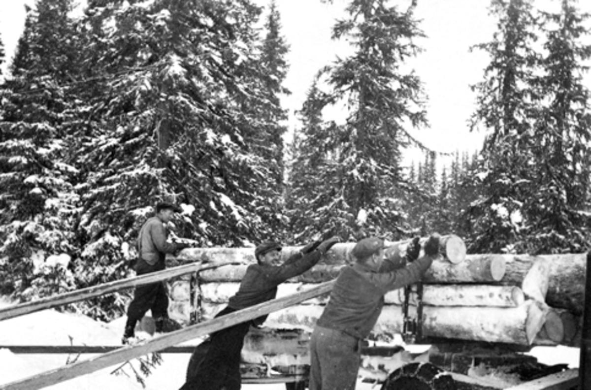 Skogsarbeidere drar tømmer. Lessing med slåter på lastebil. Fra venstre er Magne Solheim, Alf Nordengen, Ole Røset, vinter ved Geitryggen, Furnes Almenning.