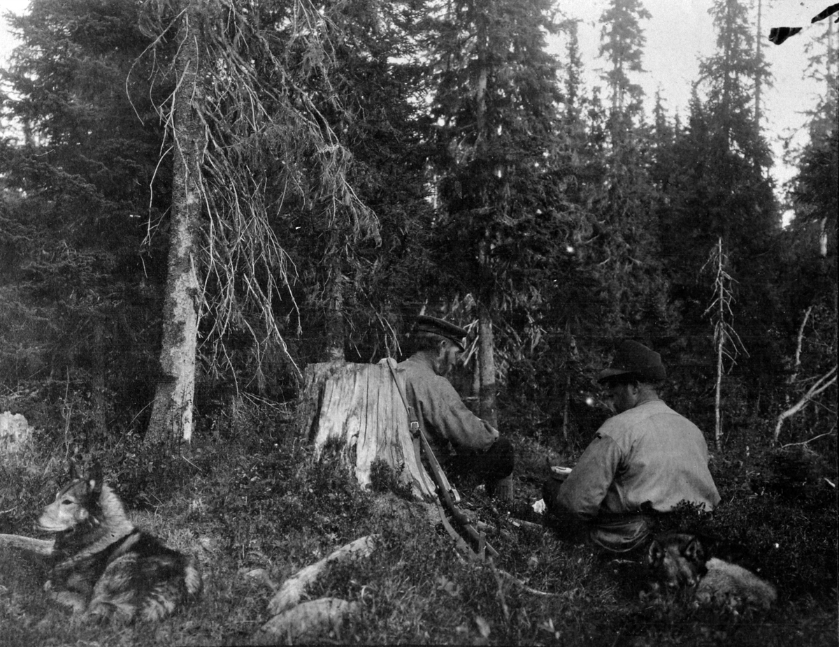 Elgjegere med matpause i skogen, elghunder, Thore Lien til høyre.