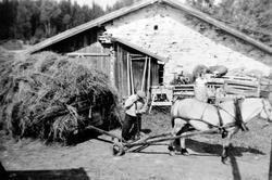 SØNDRE TOMTER, SLÅTTONN. HØYVOGNA ER KJØRT FRA ÅKEREN MED TR