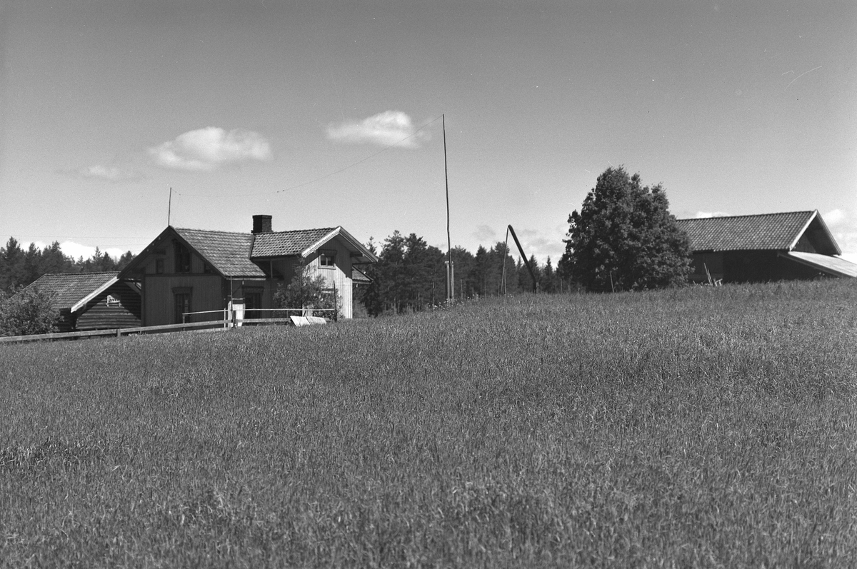EKSTR: GARDSTUN, ØSTERHAUG. Se Løtenboka, Bygdebok fra 1953 bind 2. side 495