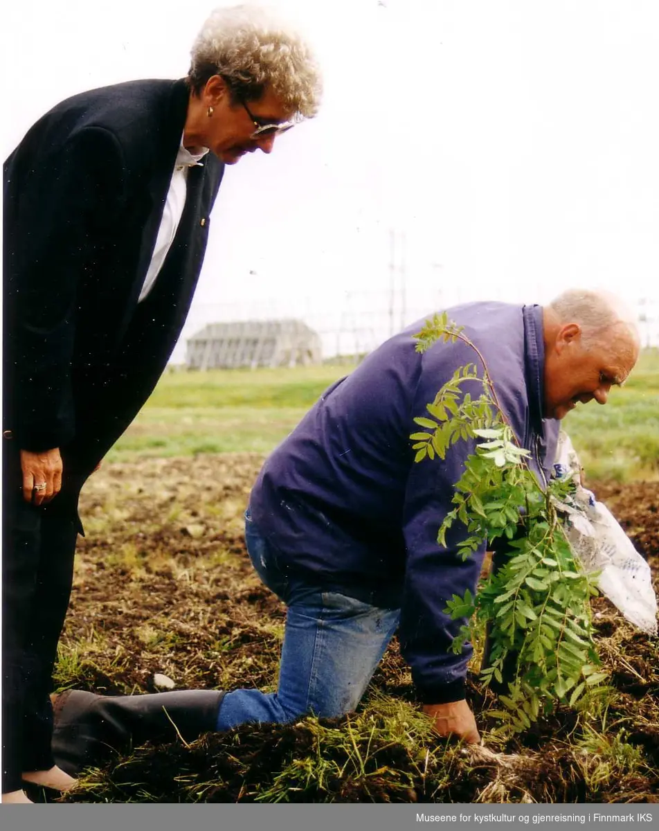 Fra festivaldagene "Sommer i Berlevåg" og "plant ett tre" aksjonen. Reidun Hammer og "Boja" Odd Lunde Skancke planter et rognetre utenfor Helsesentret, 1992
