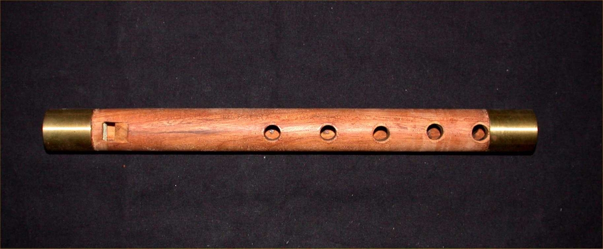Fløyte av tre (mahogni), ved hver ende forsterket med en messingring (24,6 mm bred og 1 mm tykk). Forside 5 gripehull, bakside 3 gripehull.
[CW, januar 2005]
