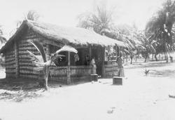Mosambik. 1914. Fra en kokosplantasje i Quelimane-distriktet