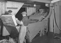 M. Hustad & Co.s fryse- og kjøleanlegg