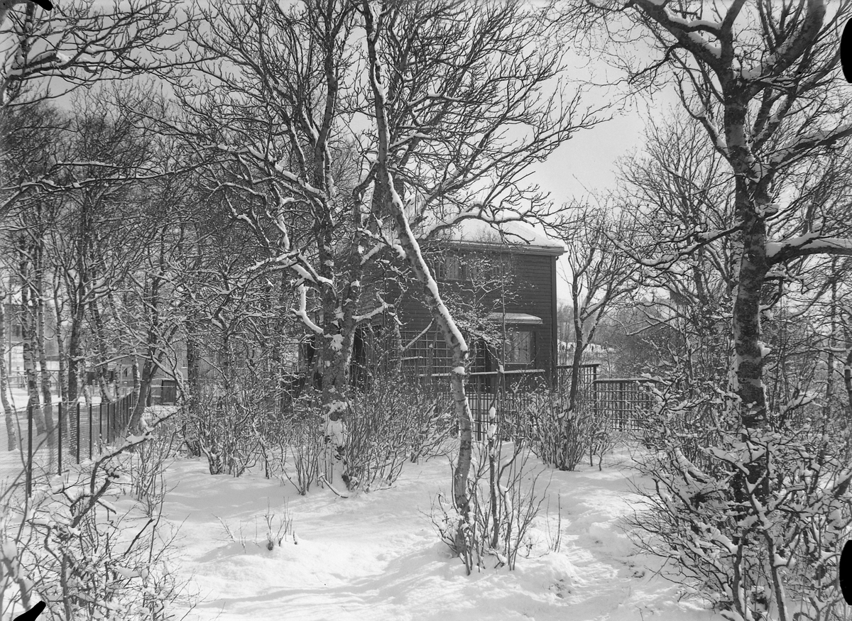 Villaen til professor Ragnvald Iversen