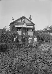 Kolonihagen på Lerkendal