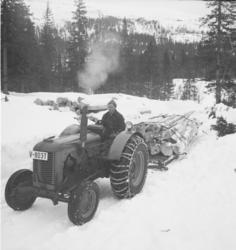 Van Severen & Co., Namsos