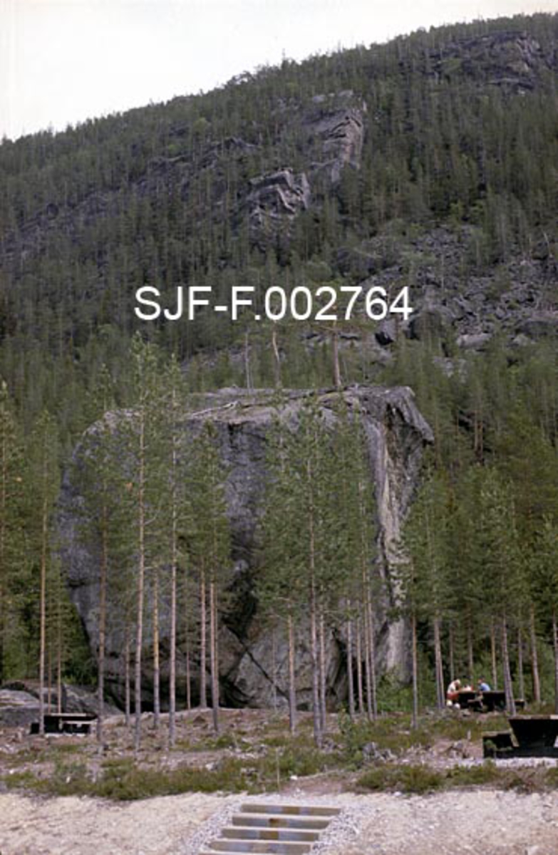 Stor steinblokk med furutrær på toppen og omkring, fotografert på østsida av Storsjøen i Ytre Rendalen i 1983. 