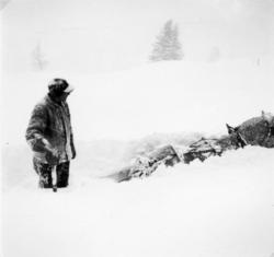 På Bjørneberg snøvinteren 1952..Monrad Sletta er ute med hes