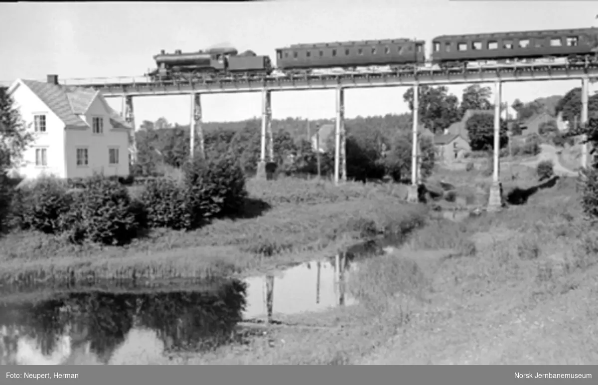Damplokomotiv med persontog på Hølen viadukt